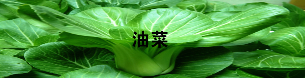 Ͳ